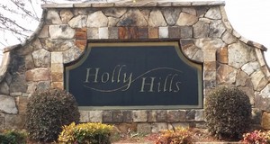 Holly Hills image